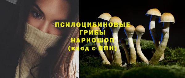 крисы Нефтекумск