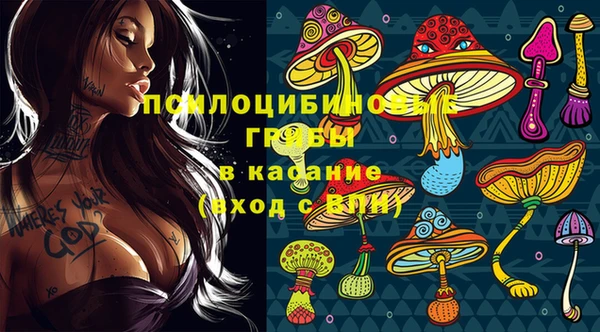 крисы Нефтекумск