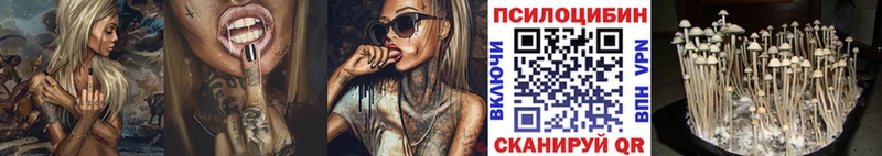 Галлюциногенные грибы GOLDEN TEACHER  как найти наркотики  Котельниково 